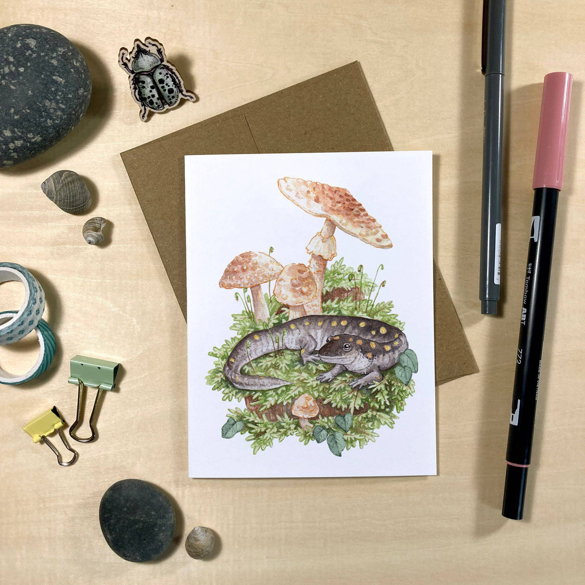 Amphibians &amp; Fungi On Blank Recycled Cards (Set of 6)
