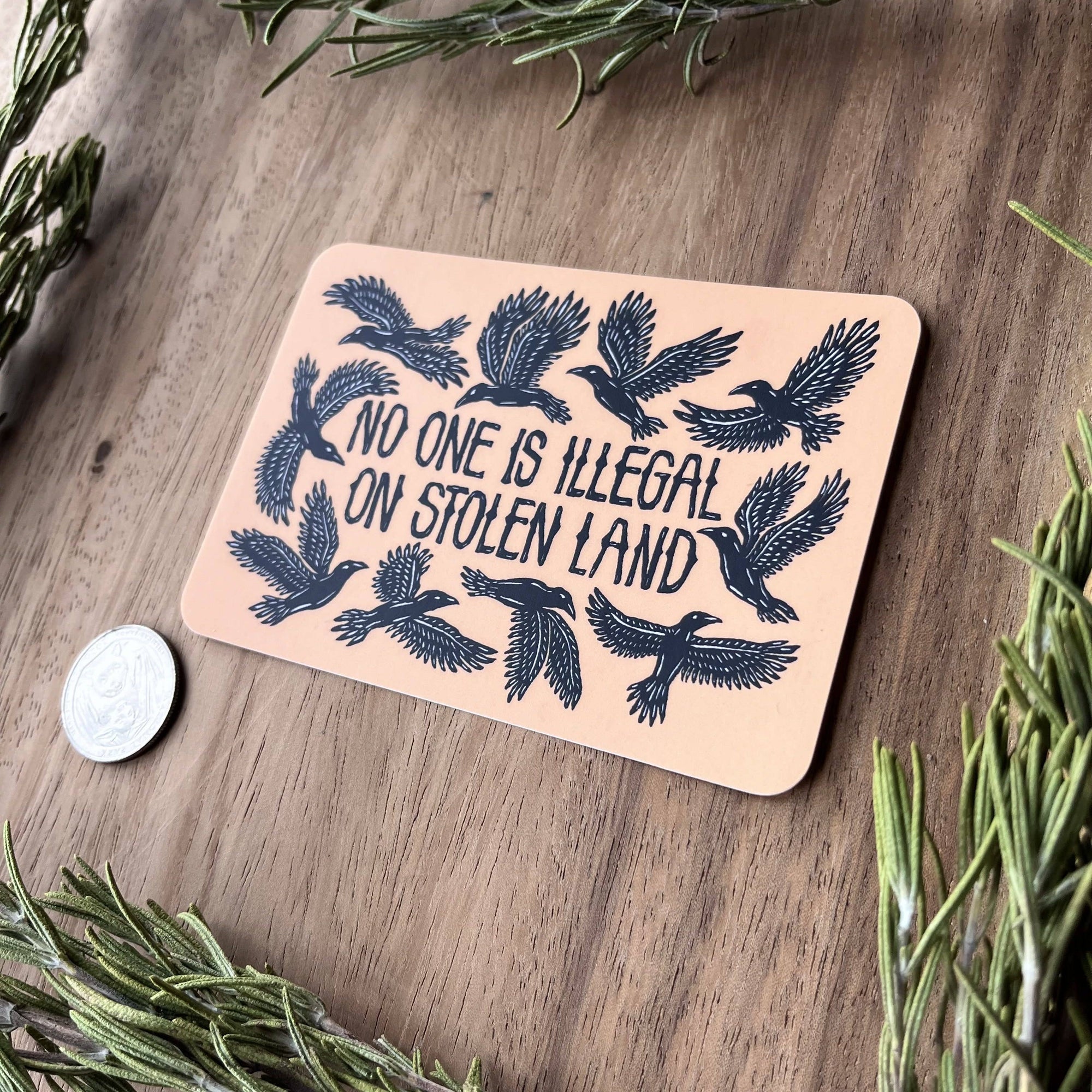 No One Is Illegal On Stolen Land Vinyl Sticker