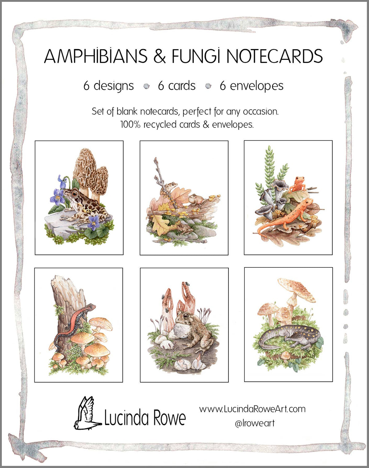 Amphibians &amp; Fungi On Blank Recycled Cards (Set of 6)