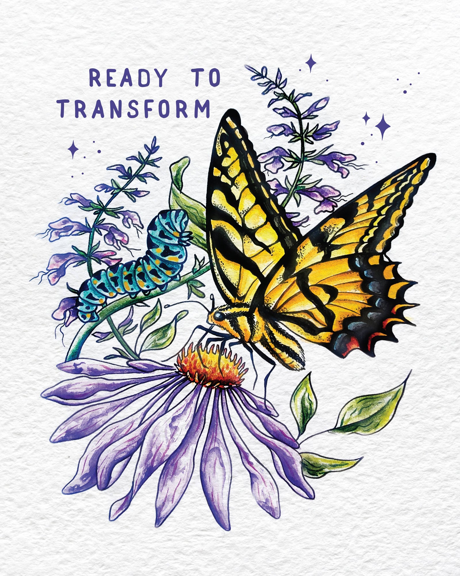 Metamorphosis - Vinyl Sticker - PNW Swallowtail Butterfly