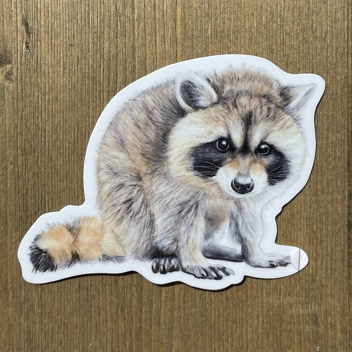 Baby Raccoon Vinyl Sticker