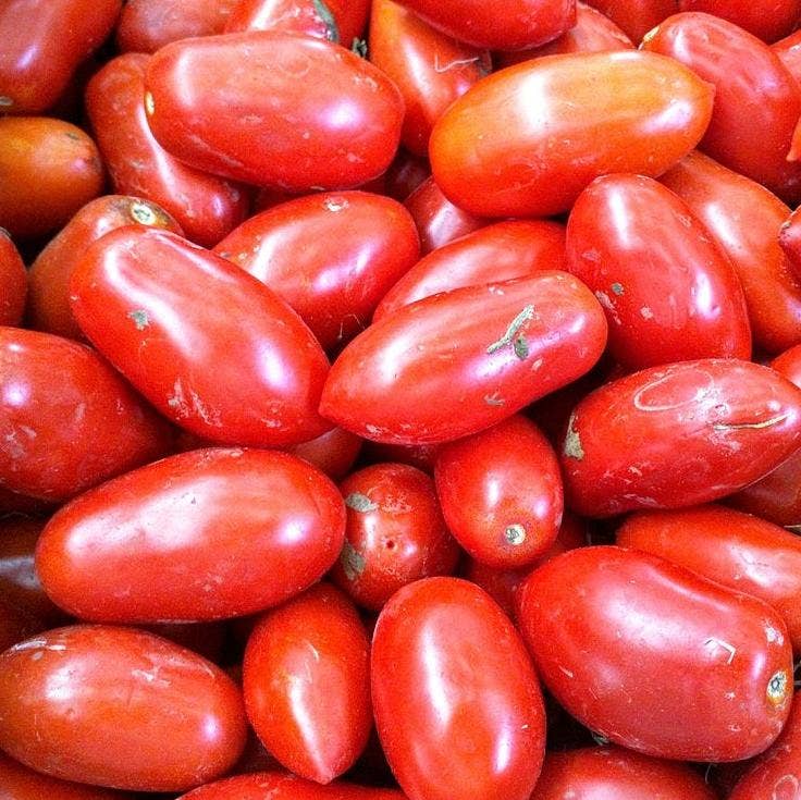 San Marzano Paste Tomato Seeds