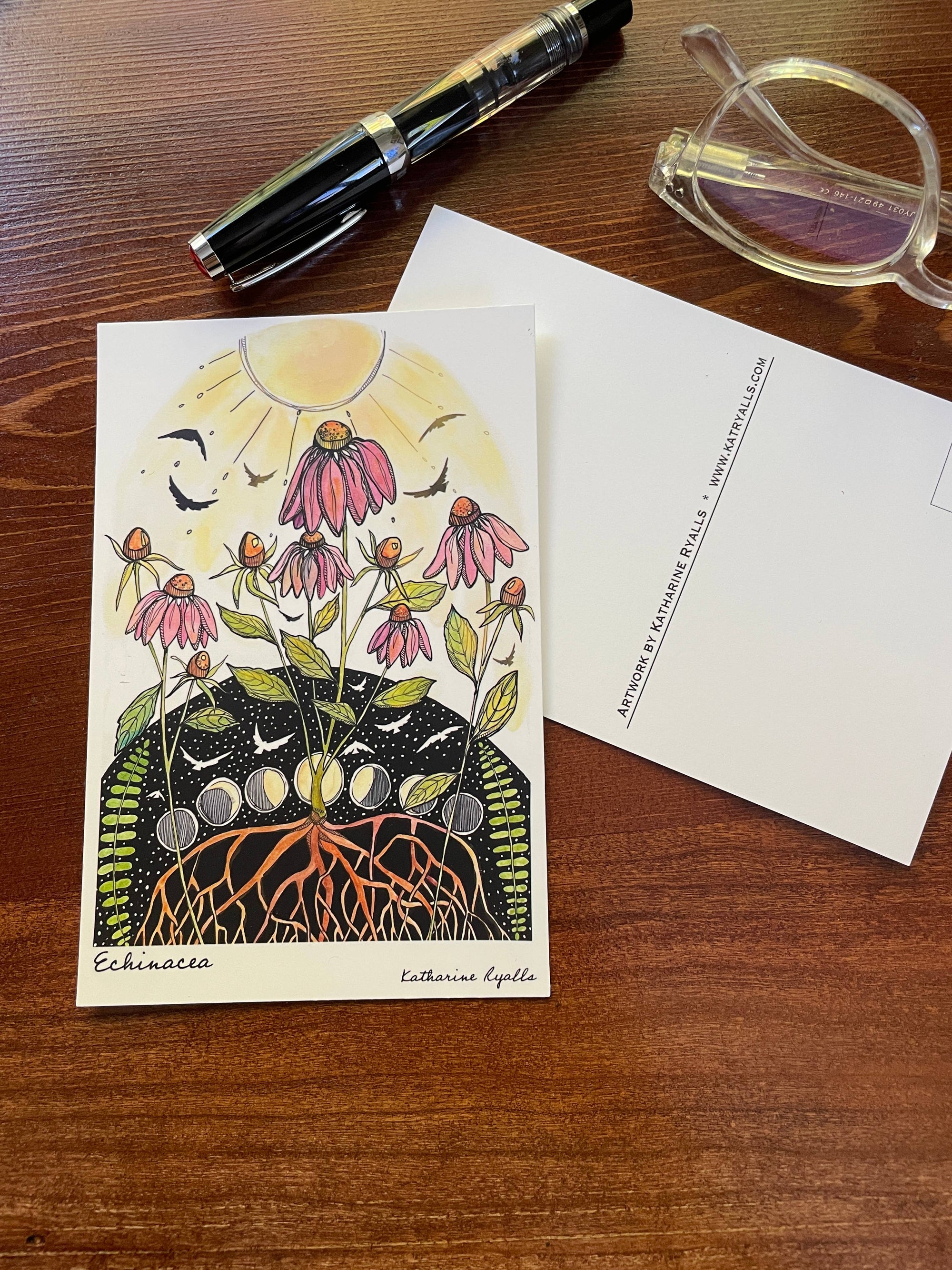 Echinacea Postcard