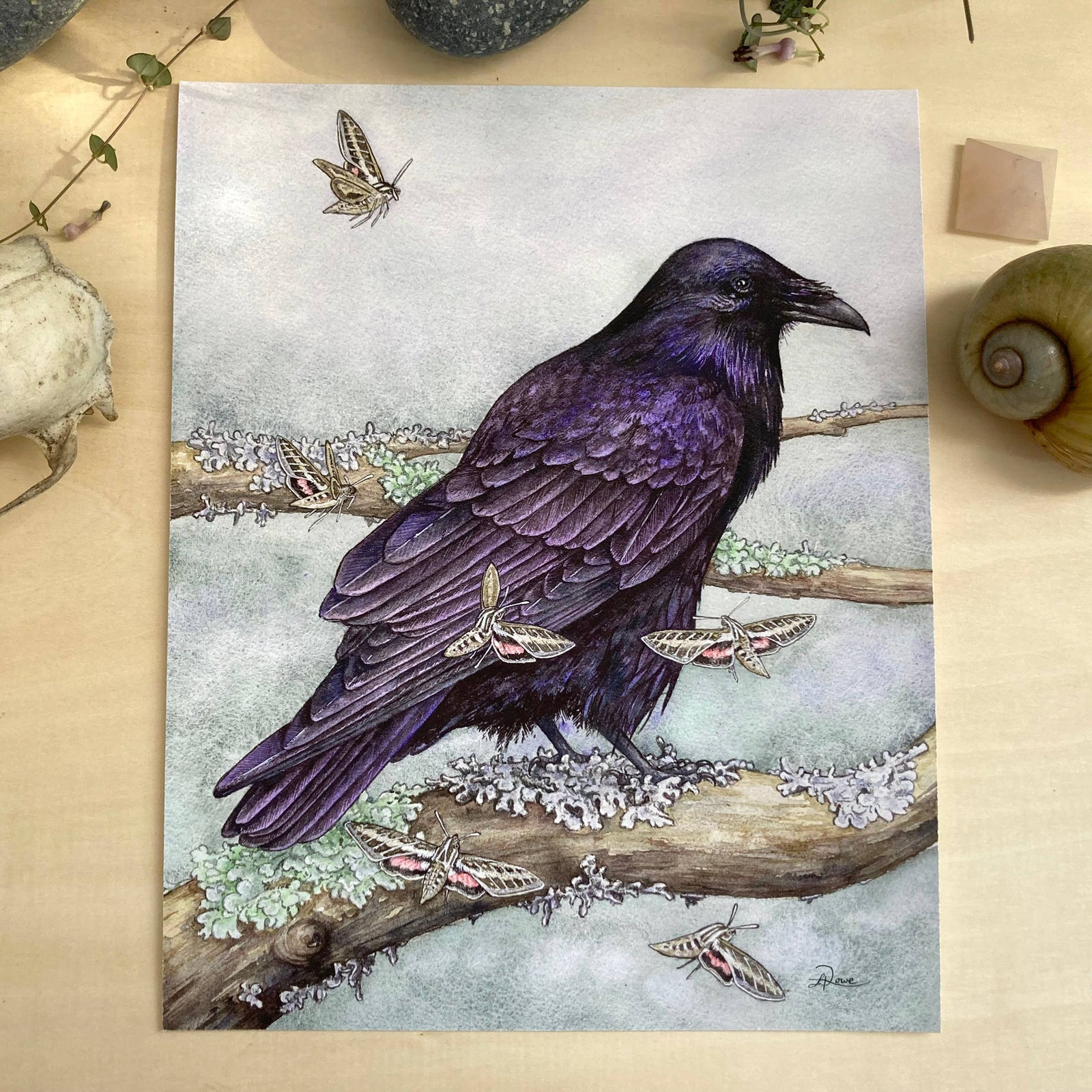 Raven with Moths Giclee Print