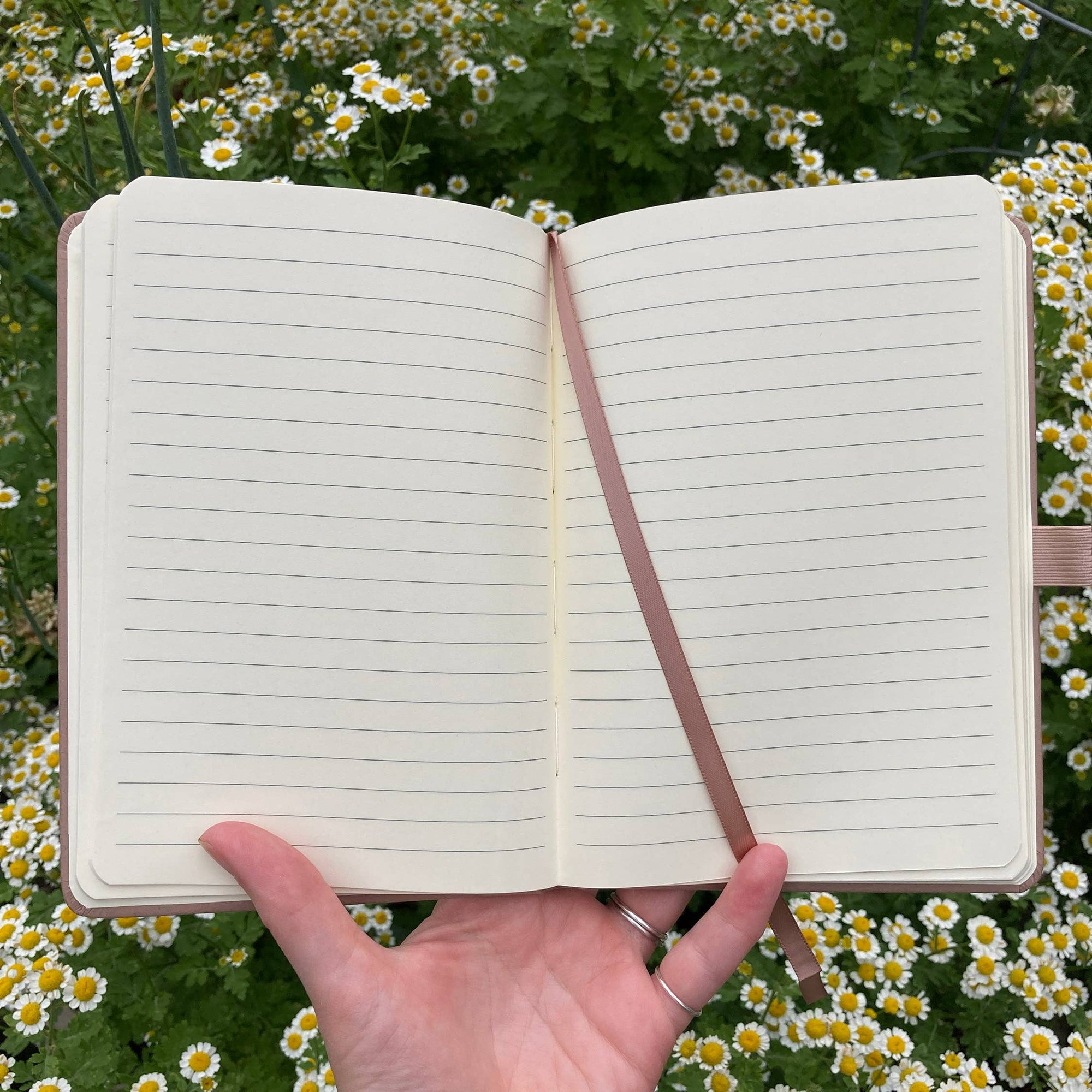 Owl and Moths Eco-Friendly Upcycled Almond Notebook