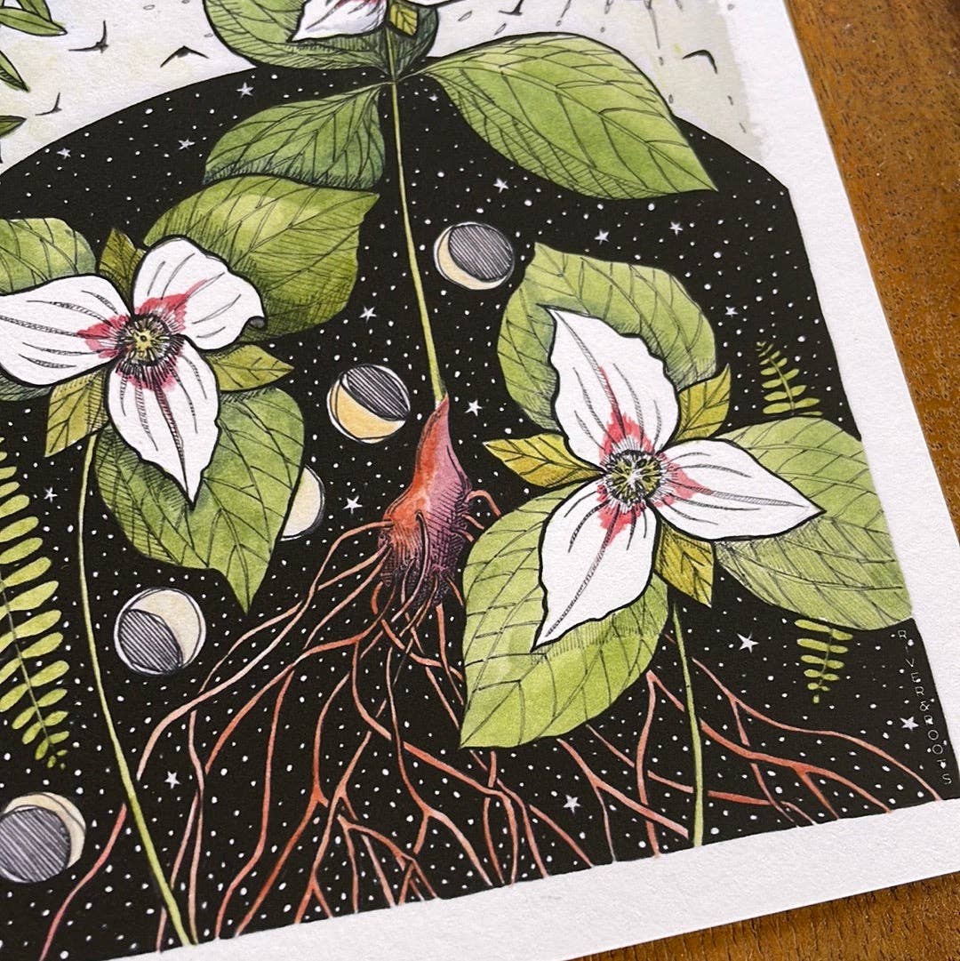 Midnight Trillium Print 5x7