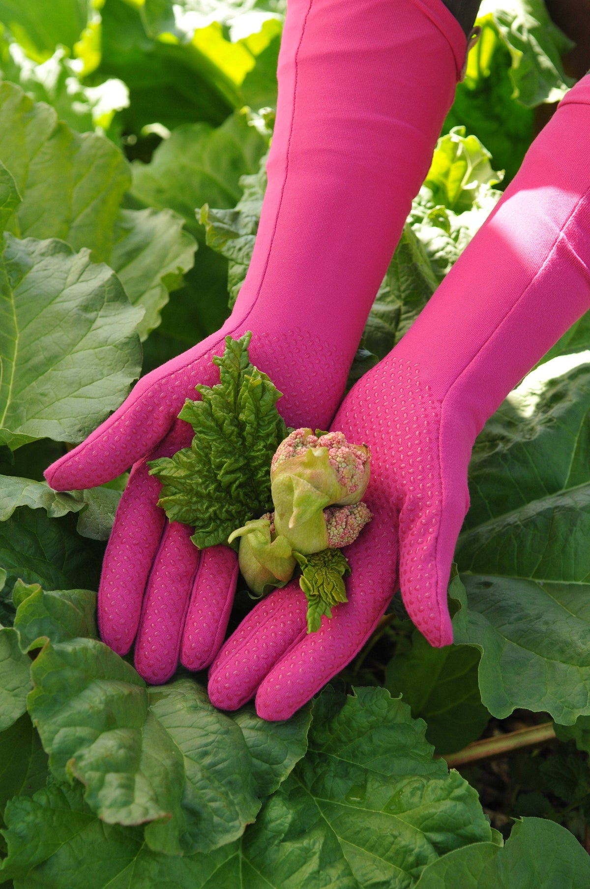 Foxgloves Long Gardening Gloves - Elle Grip