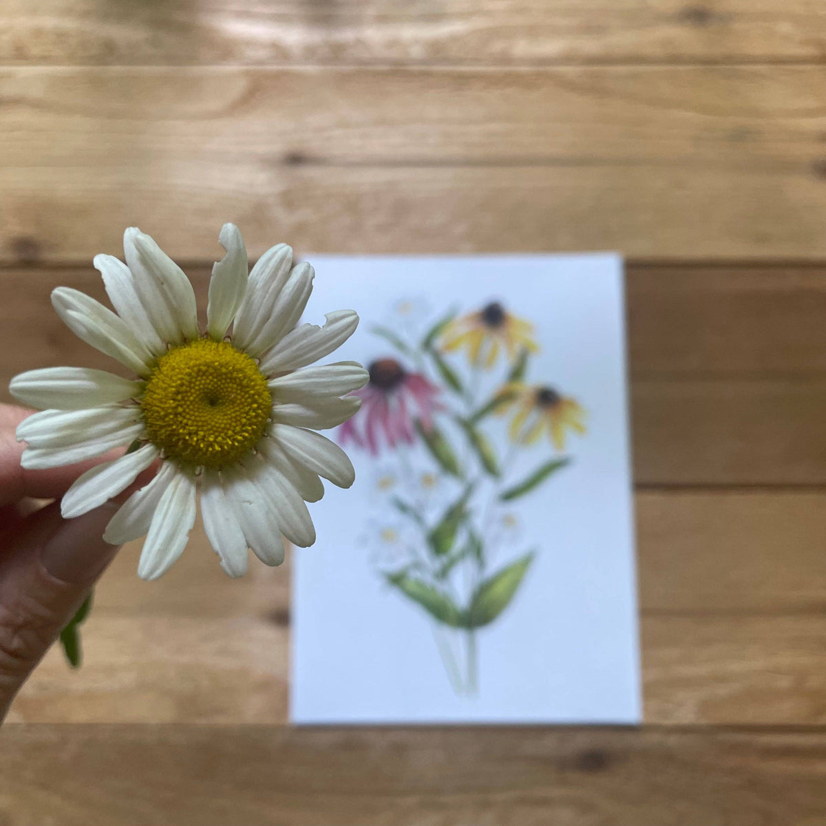 Wildflower print: 11x14”