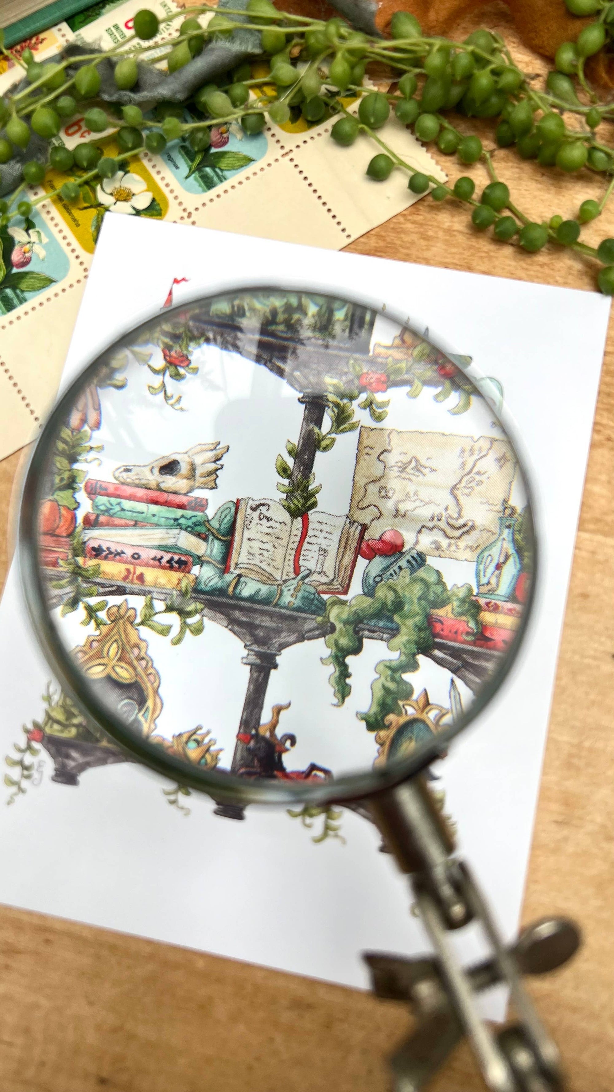 The Storybook Witch's Shelves Postcard