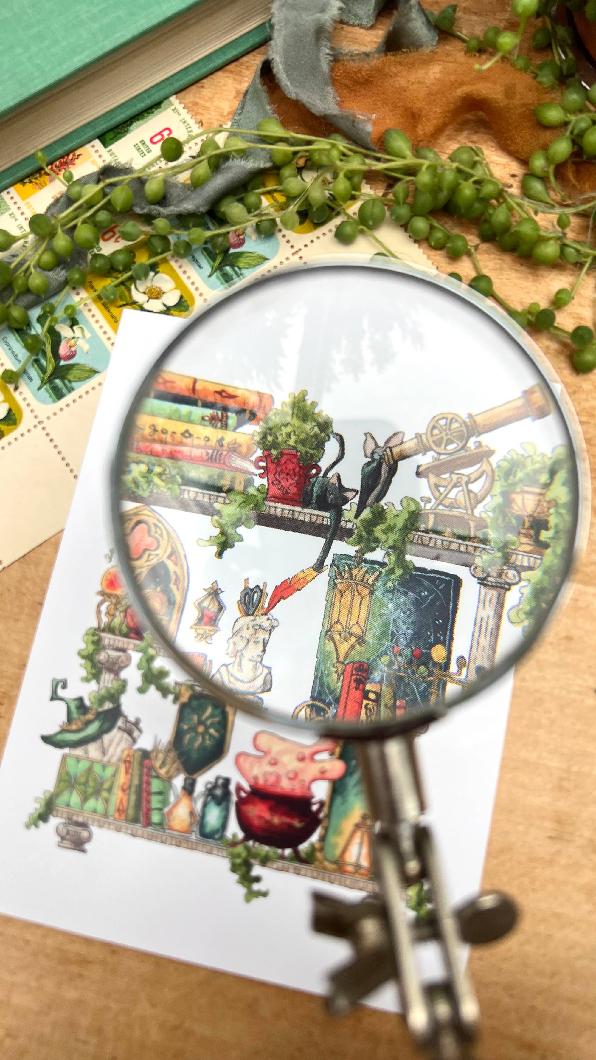 The Celestial Witch's Shelves Postcard