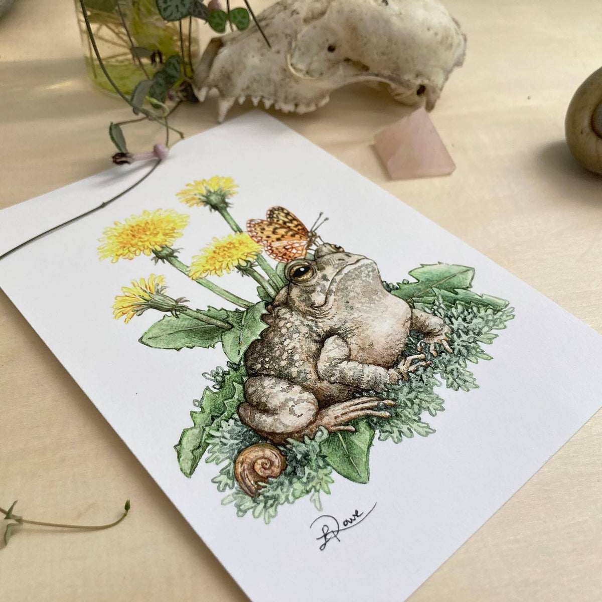 Dandelion Toad (5&quot; x 7&quot; Giclee Print)