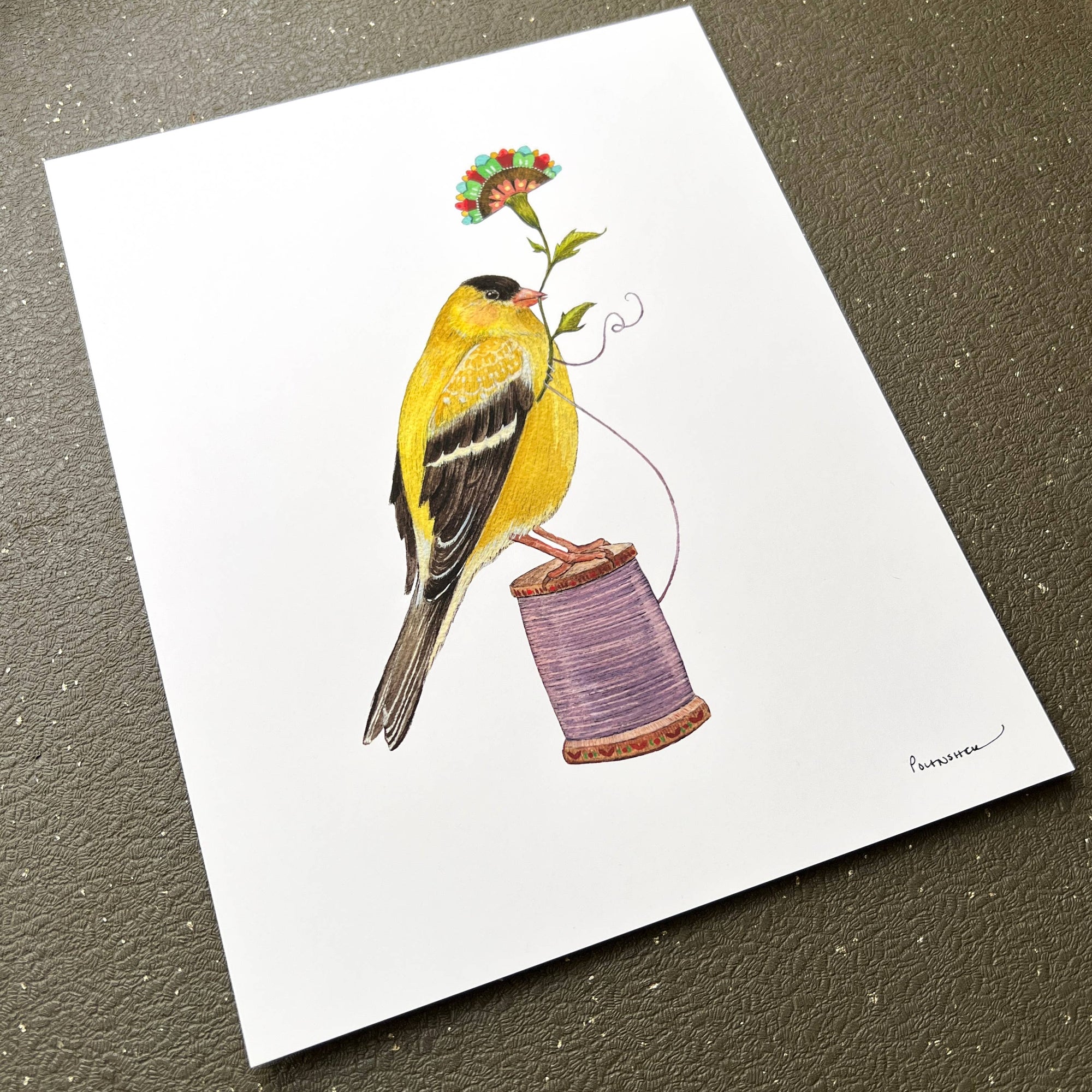 Floral Finch