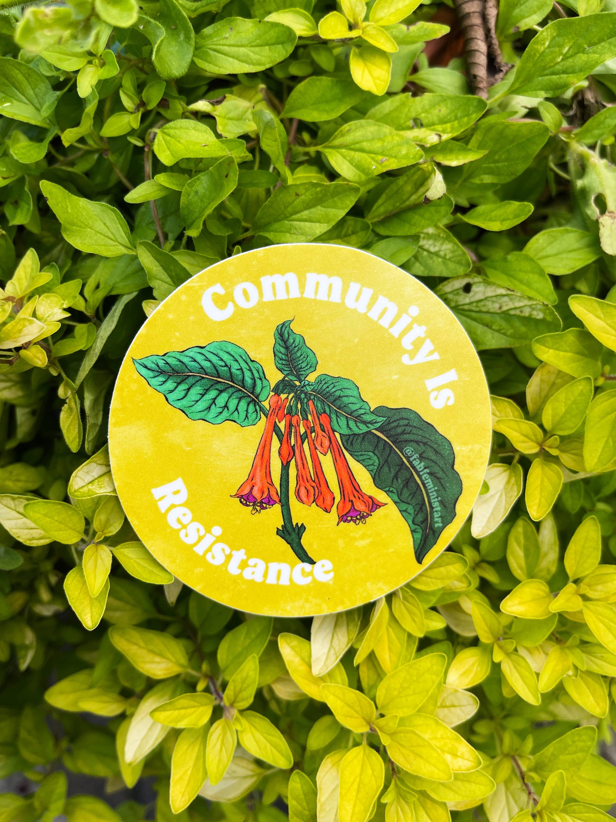 Community Is Resistance: Feminist Sticker