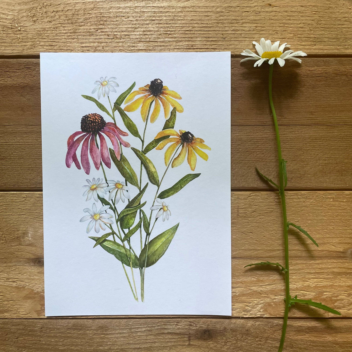 Wildflower print: 11x14”