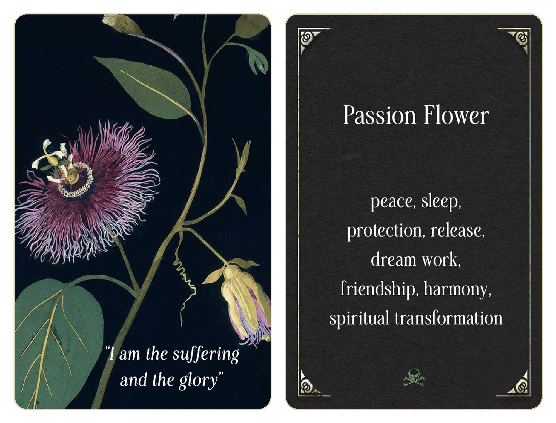 Magic from the Midnight Garden