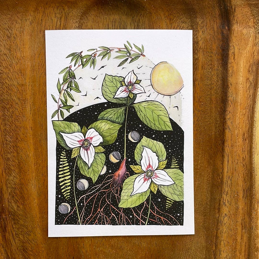 Midnight Trillium Print 5x7