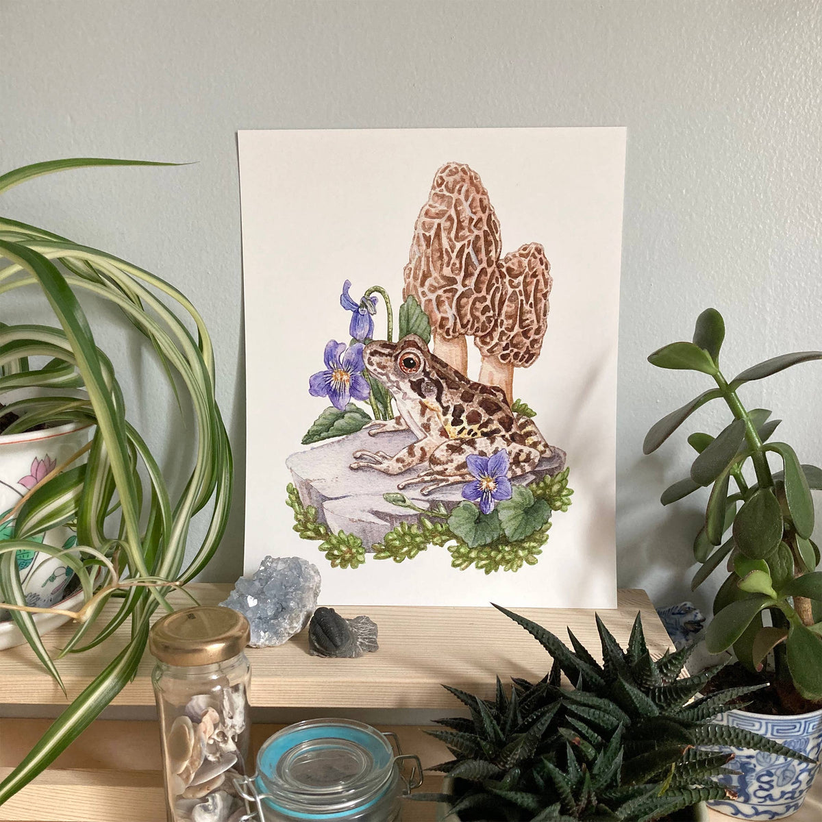 Pickerel Frog with Morels (8&quot; x 10&quot; Giclee Print)