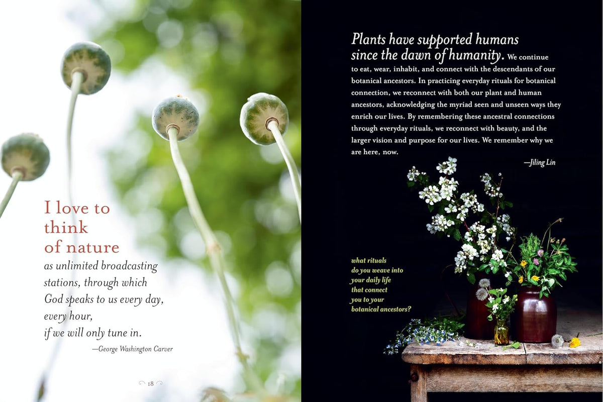 The Generosity of Plants: Shared Wisdom from the Community of Herb Lovers
