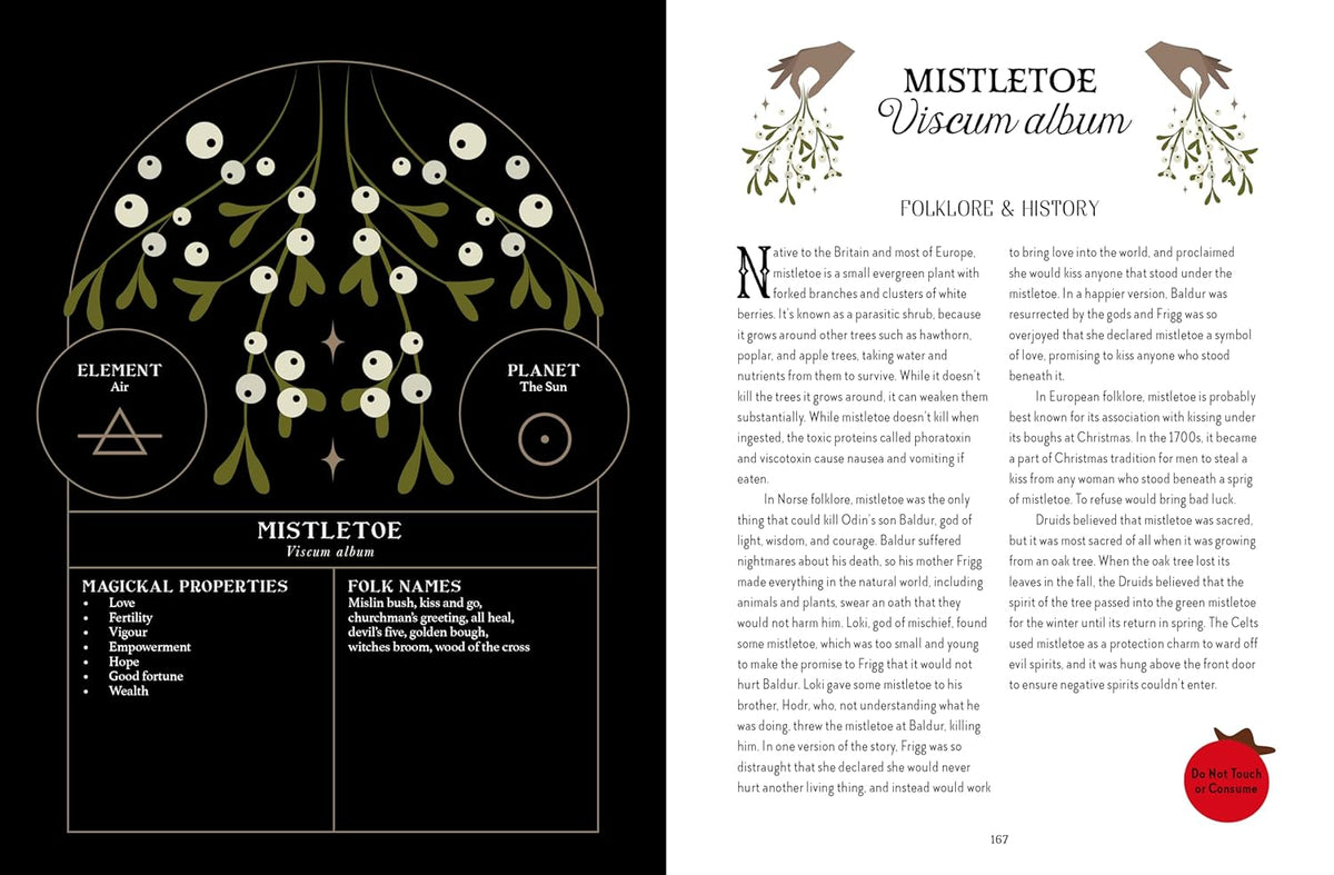 The Witch of the Forest&#39;s Guide to Folklore Magick