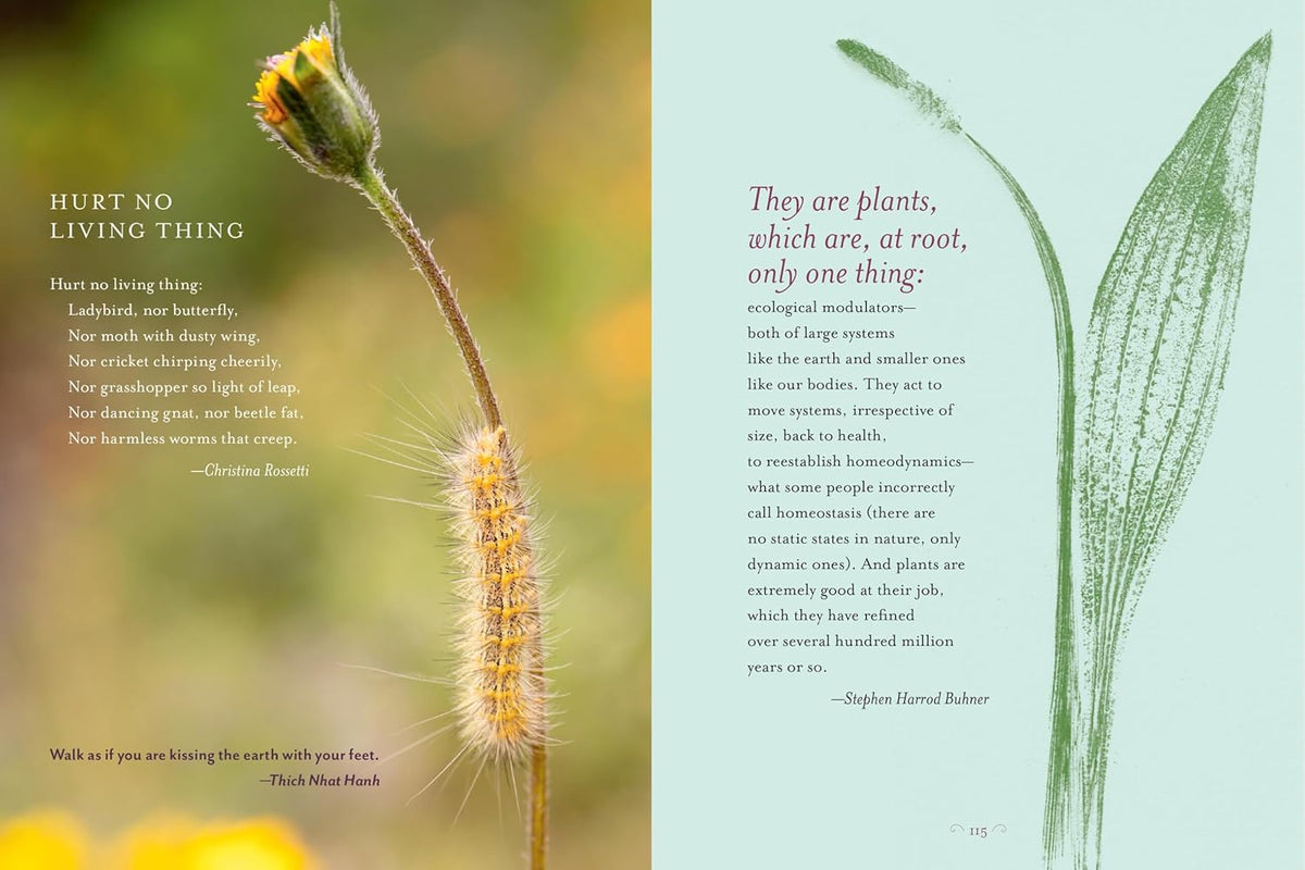 The Generosity of Plants: Shared Wisdom from the Community of Herb Lovers