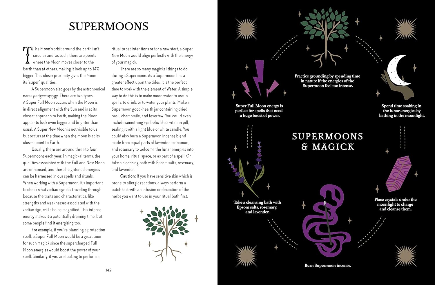 Astrology Magick – Wild Roots Apothecary
