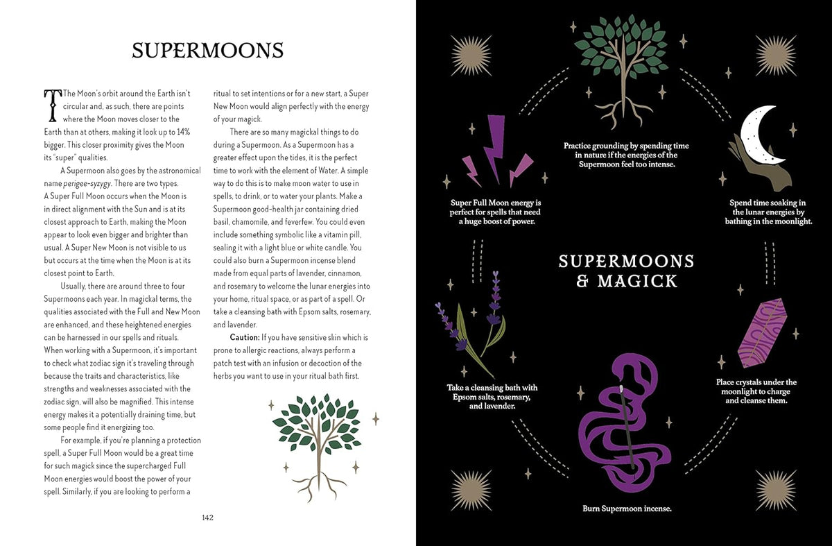 The Witch of the Forest&#39;s Guide to Astrology Magick
