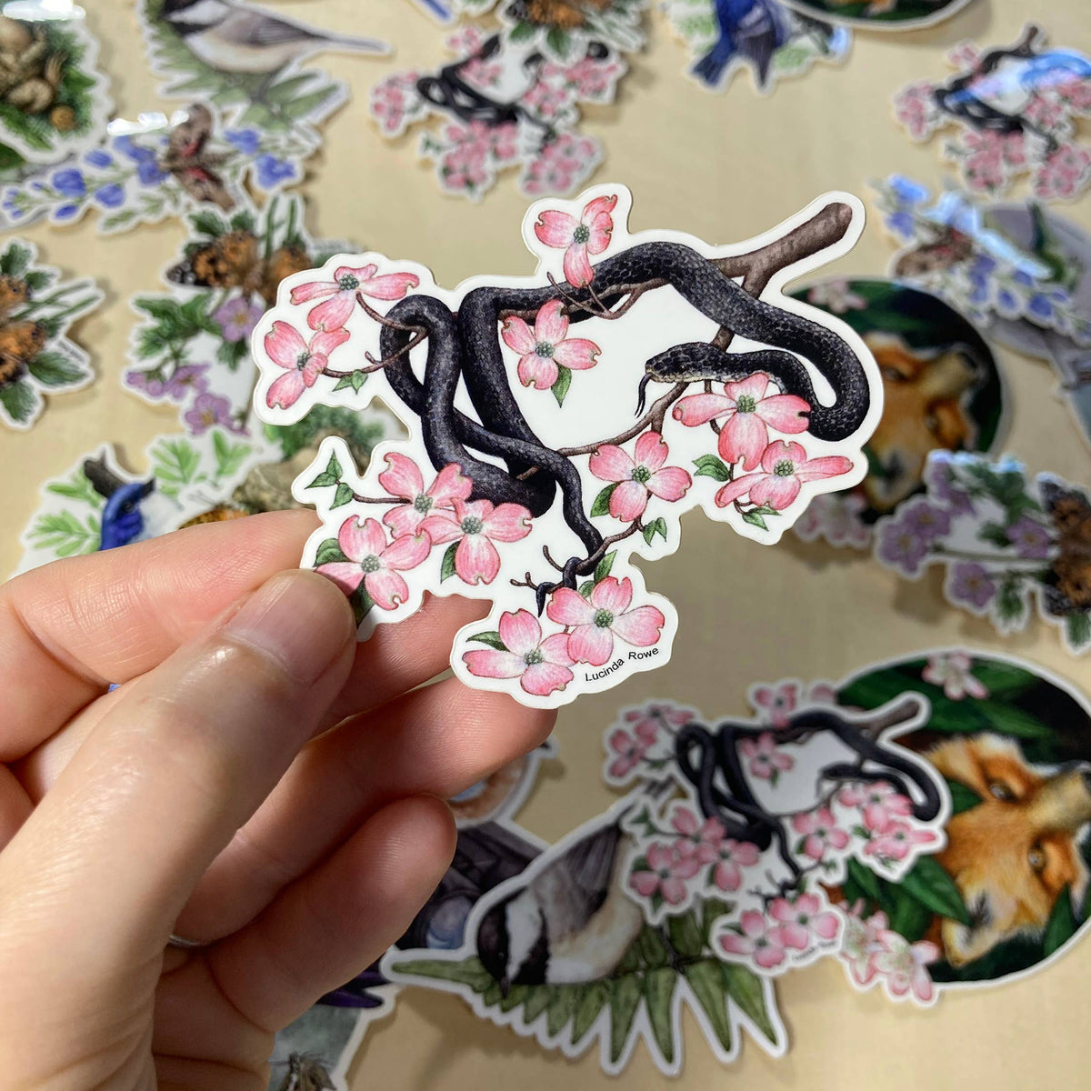 Black Rat Snake on Dogwood - Vinyl Sticker