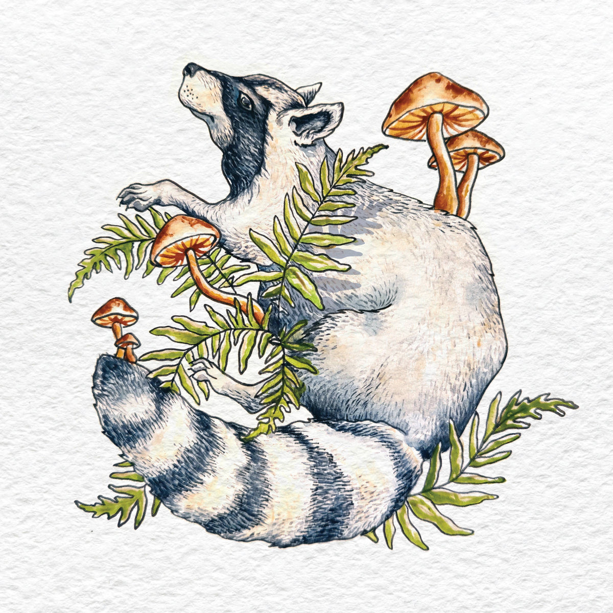Raccoon Forage - Mini Print - Mushroom Bee Feral PNW Forest