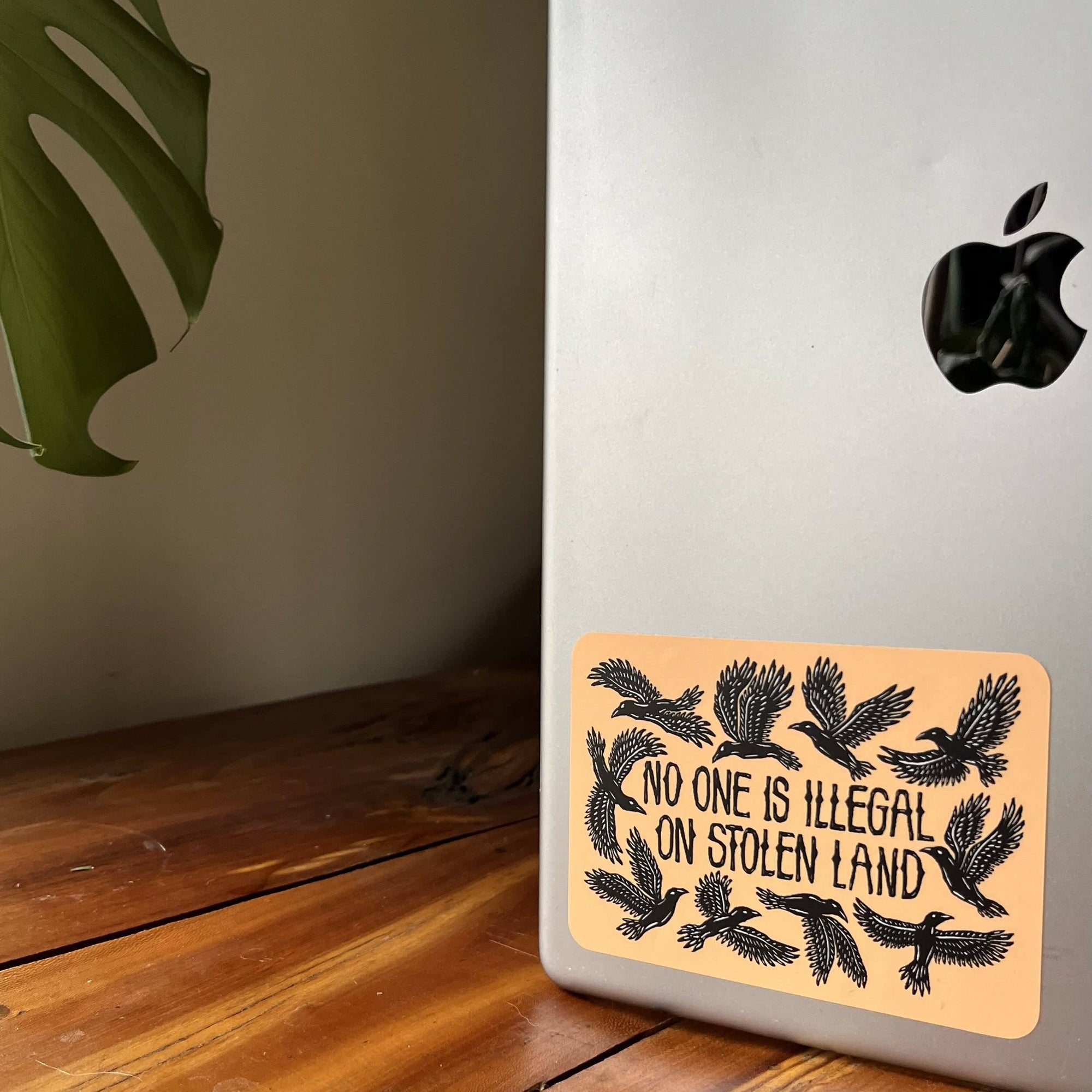 No One Is Illegal On Stolen Land Vinyl Sticker