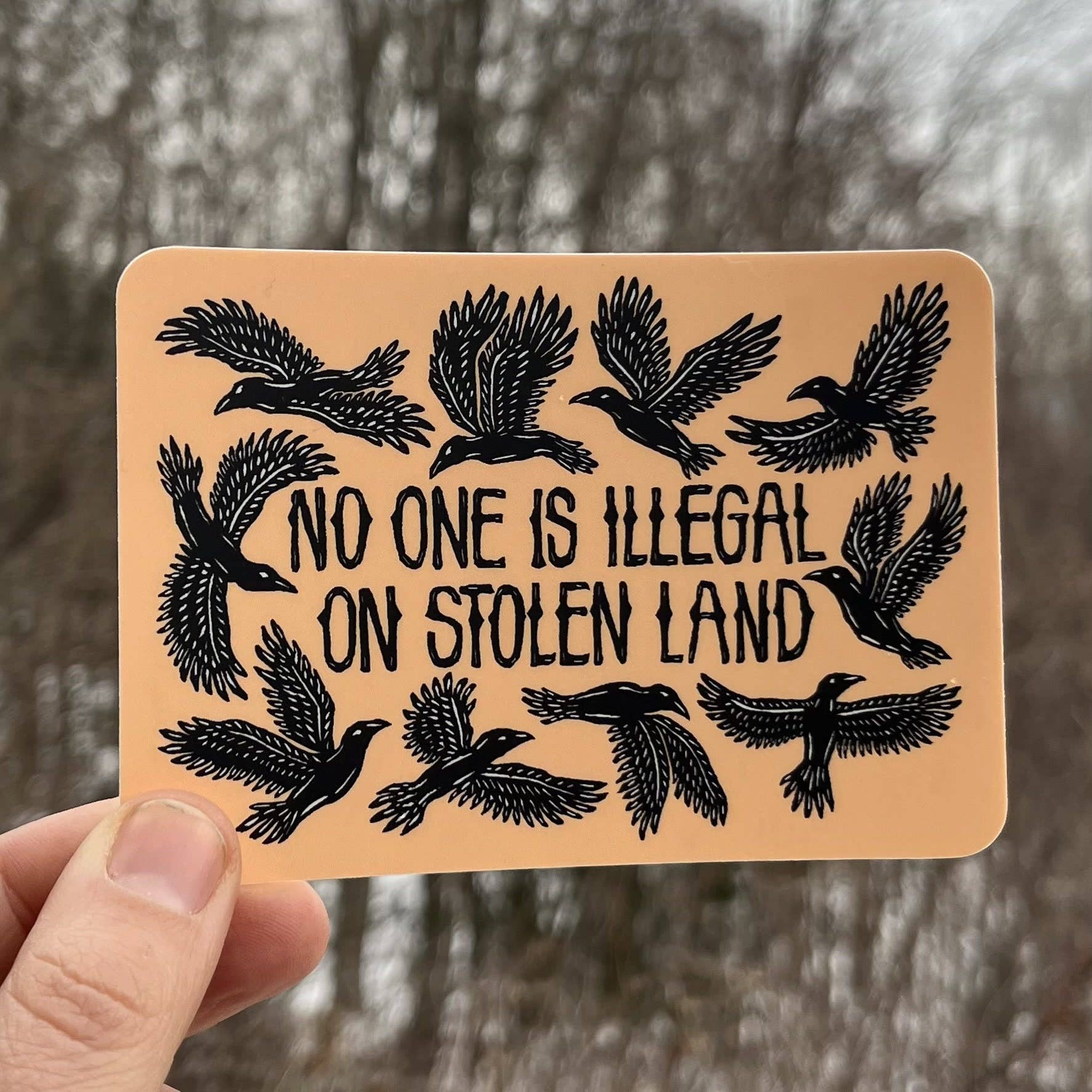 No One Is Illegal On Stolen Land Vinyl Sticker