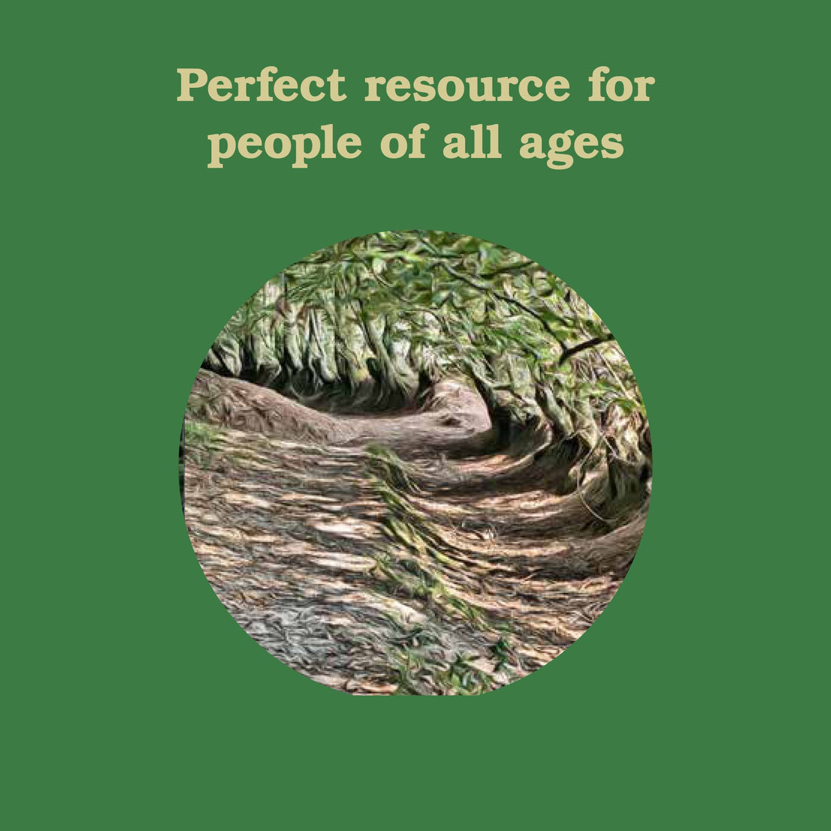 Forest School for Grown-Ups by Richard Irvine