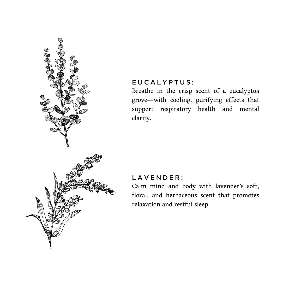 Travel Tin Candles | Eucalyptus + Lavender (6 oz.)
