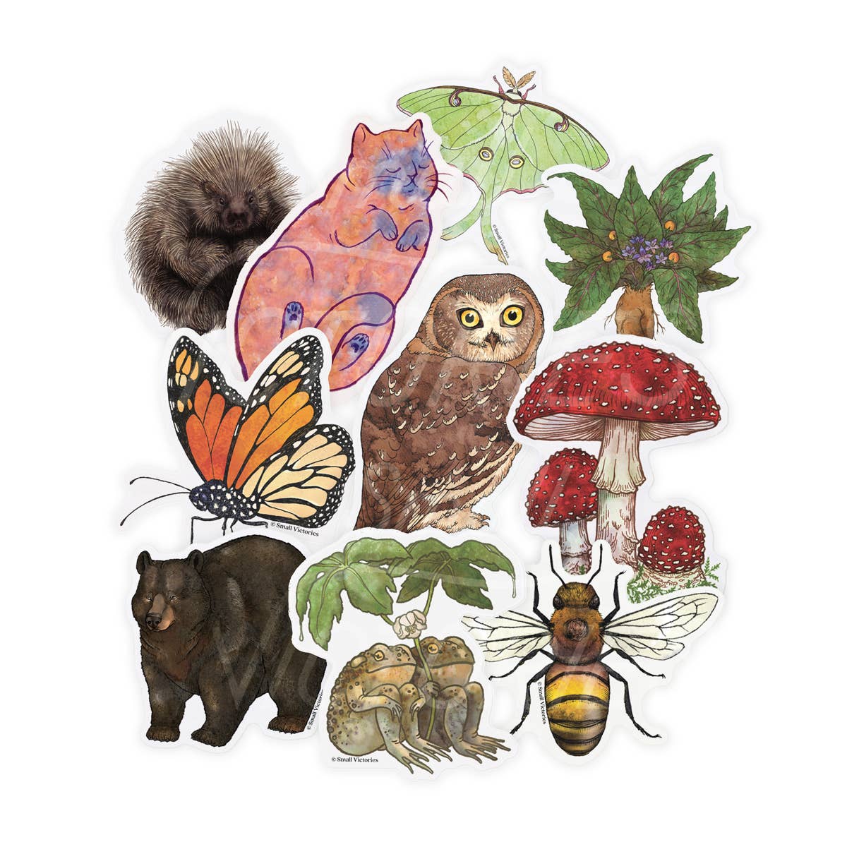 Two Toads Eco-Sticker