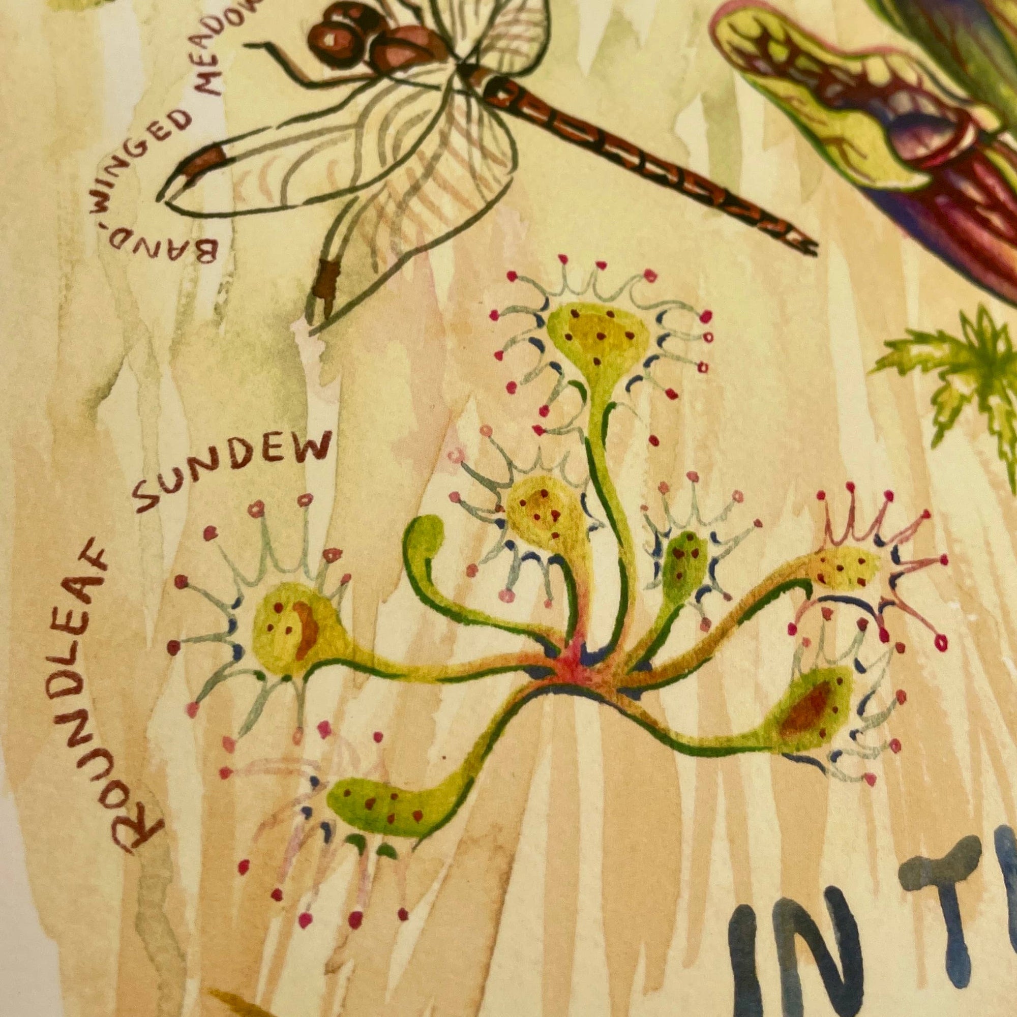 In the Bog - Watercolor Art Print