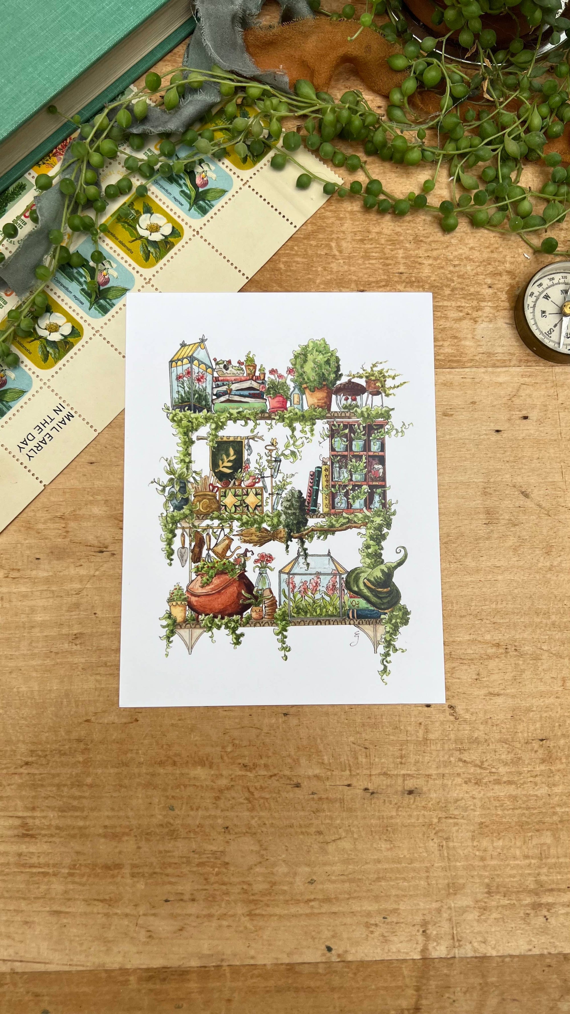 The Garden Witch's Shelves Postcard
