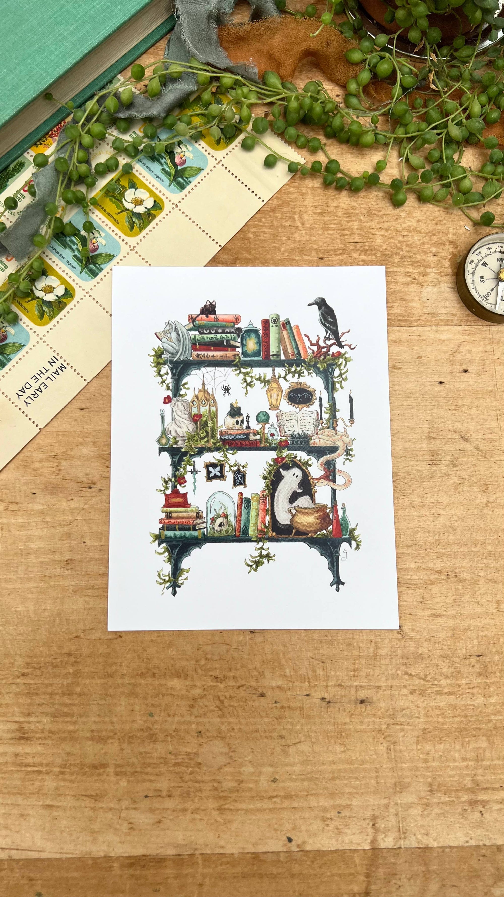 The Gothic Witch's Shelves Postcard