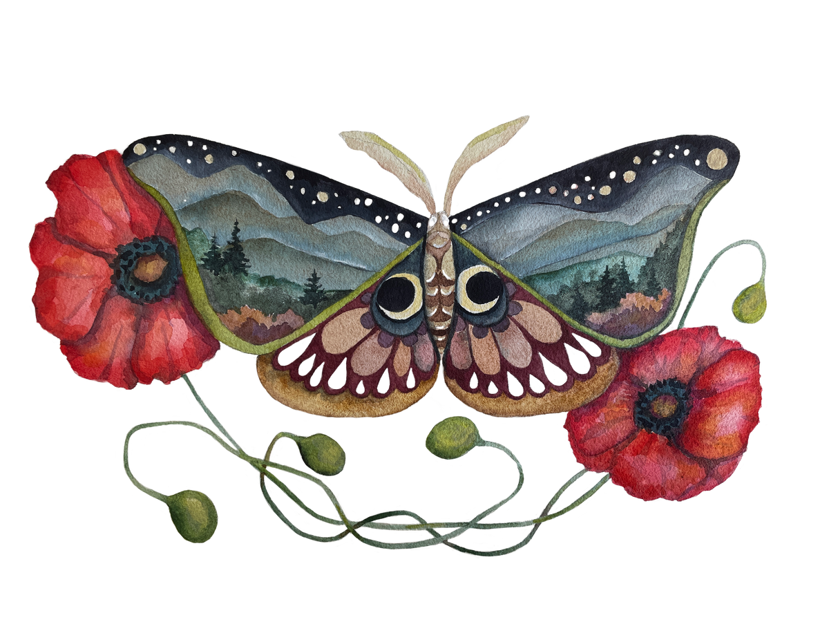 Wings and Poppies Butterfly Print: 11x14&quot;