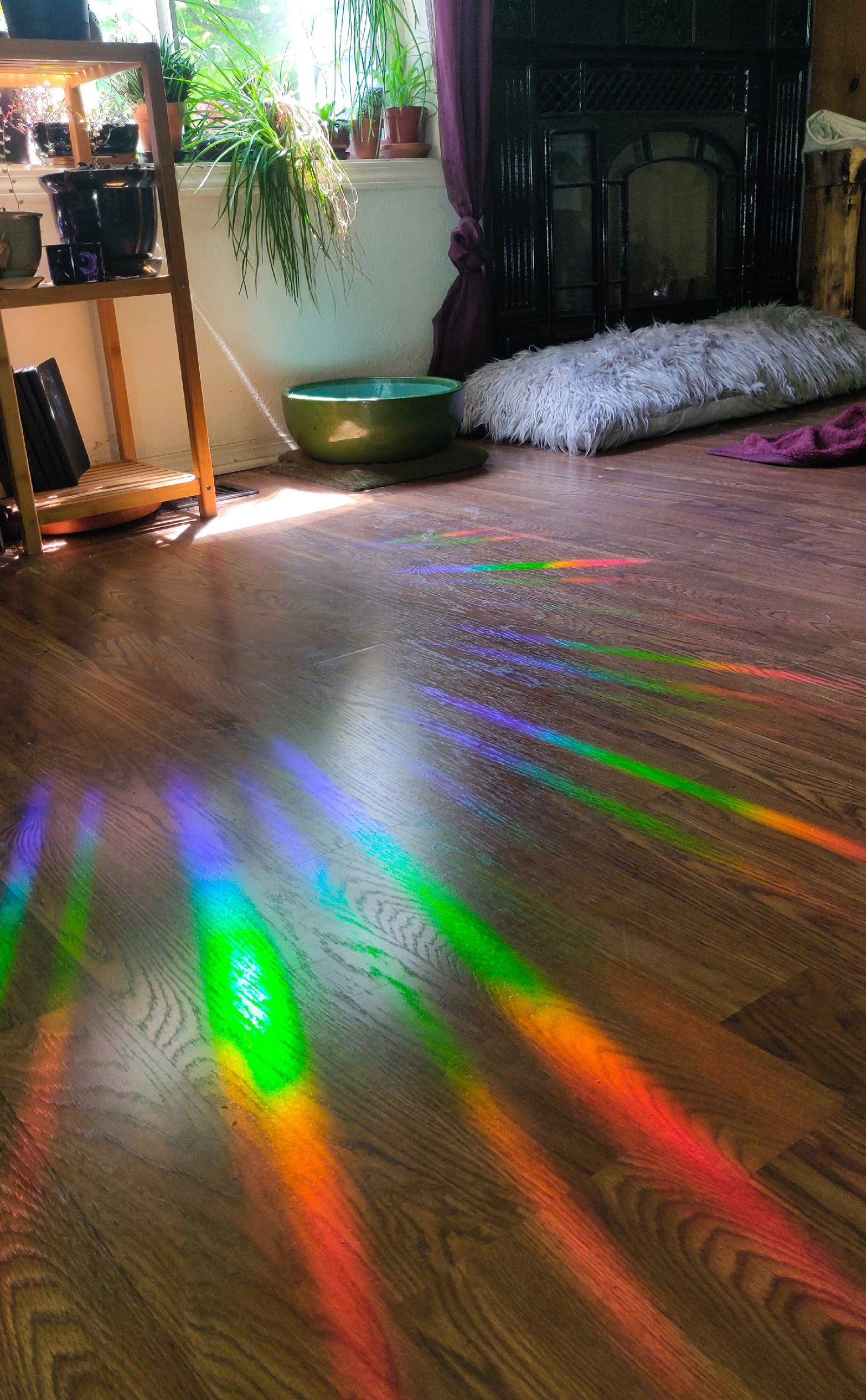 Nature Slut Rainbow Sticker