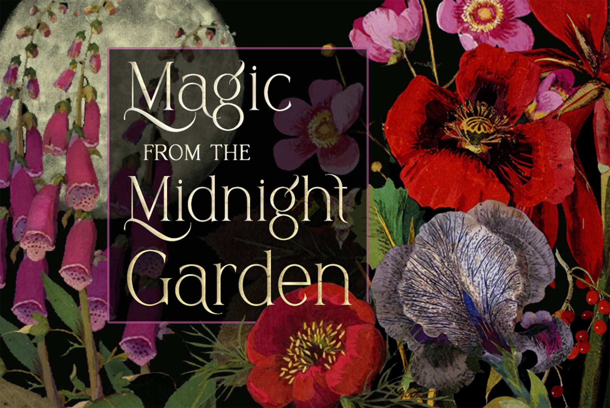 Magic from the Midnight Garden