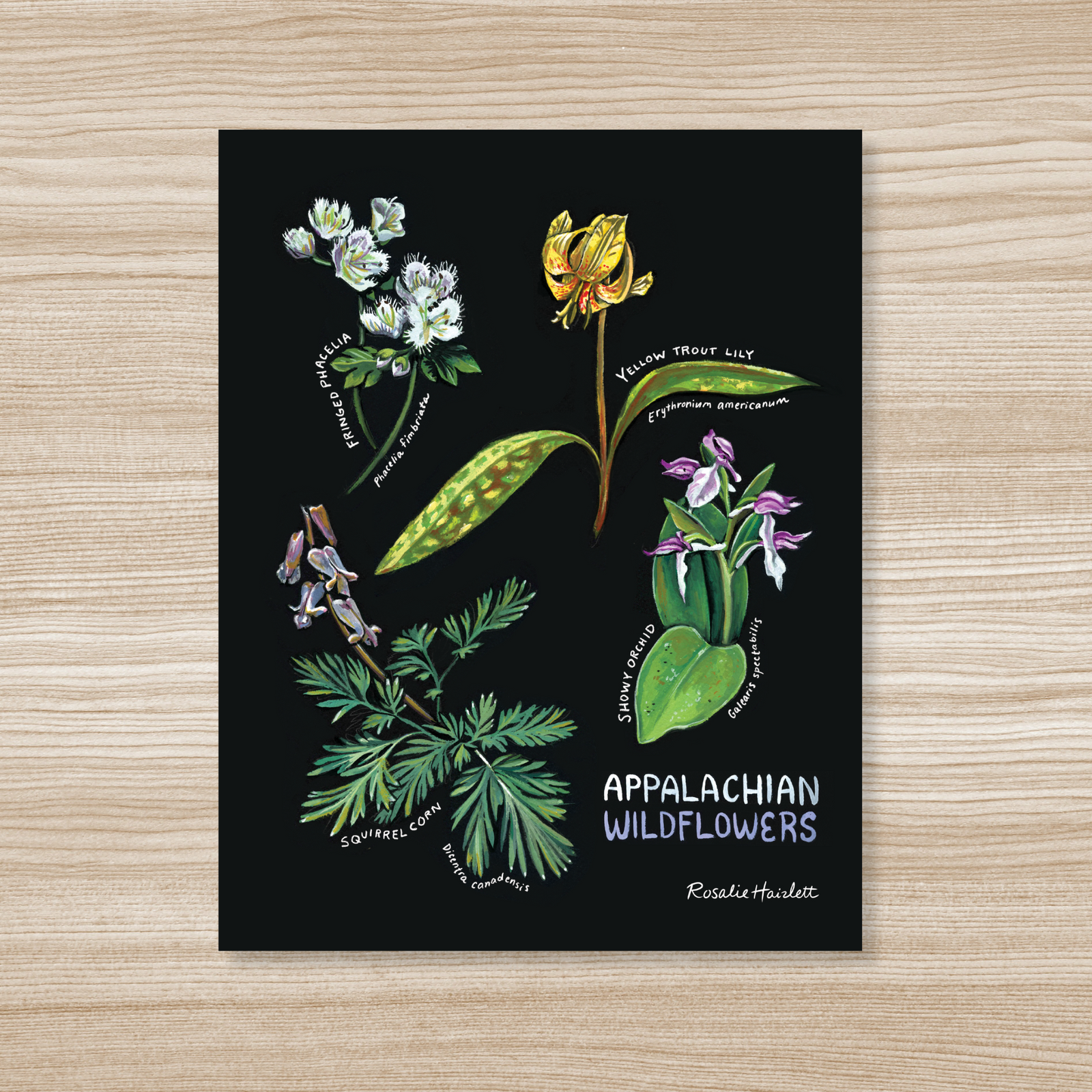 Appalachian Wildflowers Art Print by Rosalie Haizlett