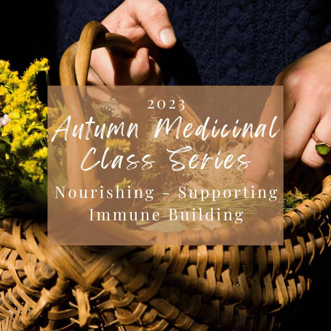 Autumn Medicine Making Series