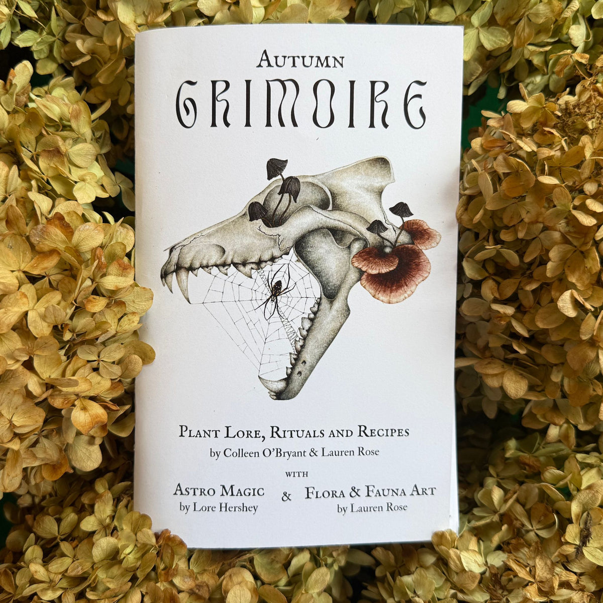 Autumn Seasonal Navigator&#39;s Grimoire