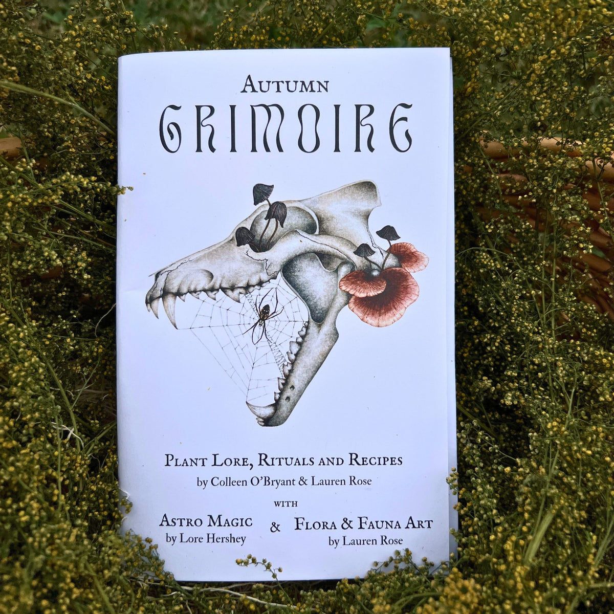 Autumn Seasonal Navigator&#39;s Toolkit: Rituals, Remedies &amp; Astrological Wisdom  (Quarterly Subscription or Individual Purchase)