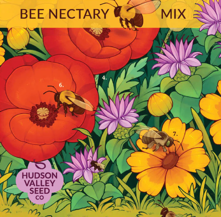 Bee Nectary Mix Seeds