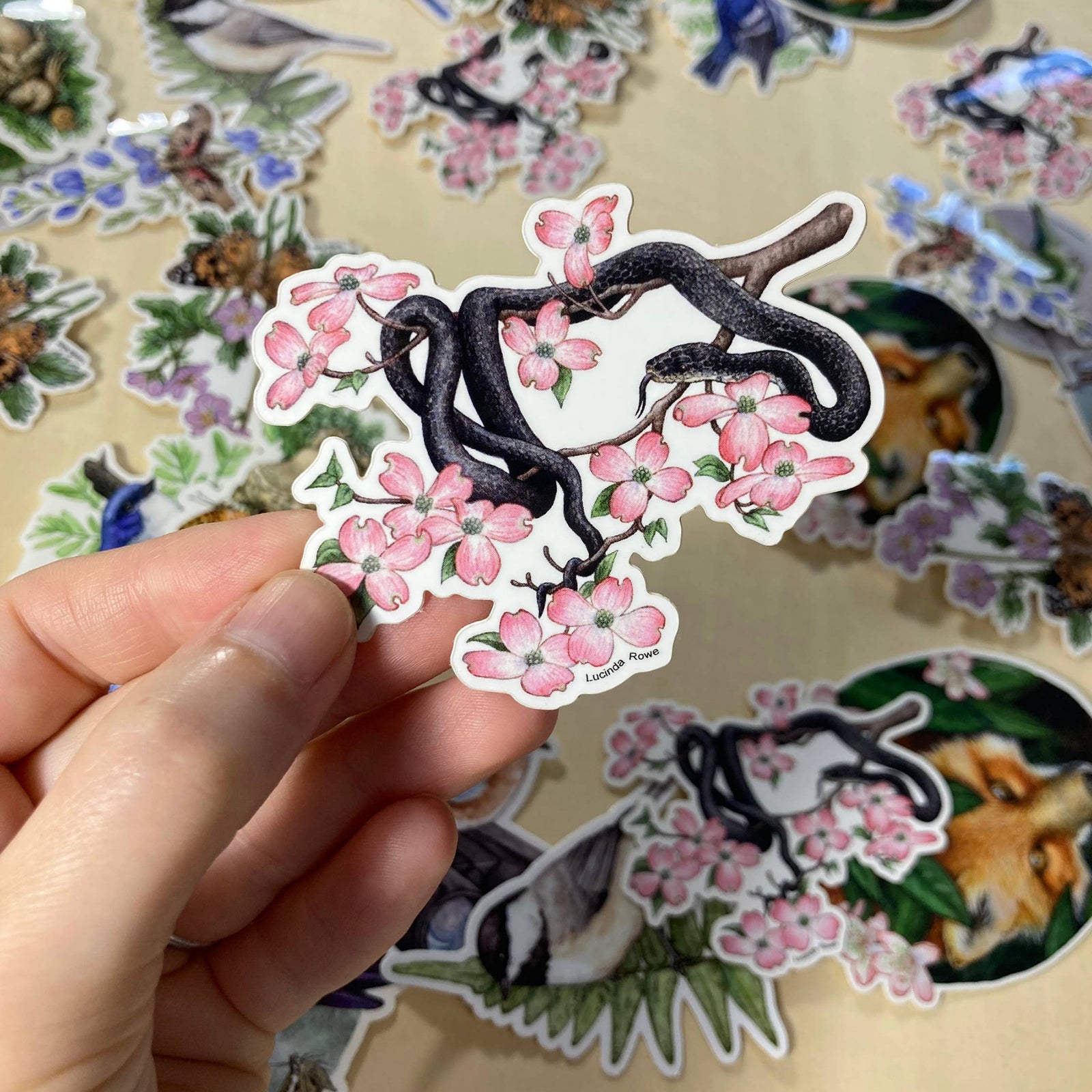 Black Rat Snake on Dogwood - Vinyl Sticker