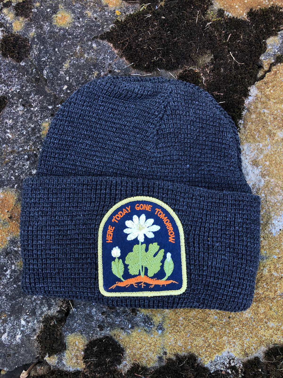 Bloodroot Native Plant Patch Waffle Beanie