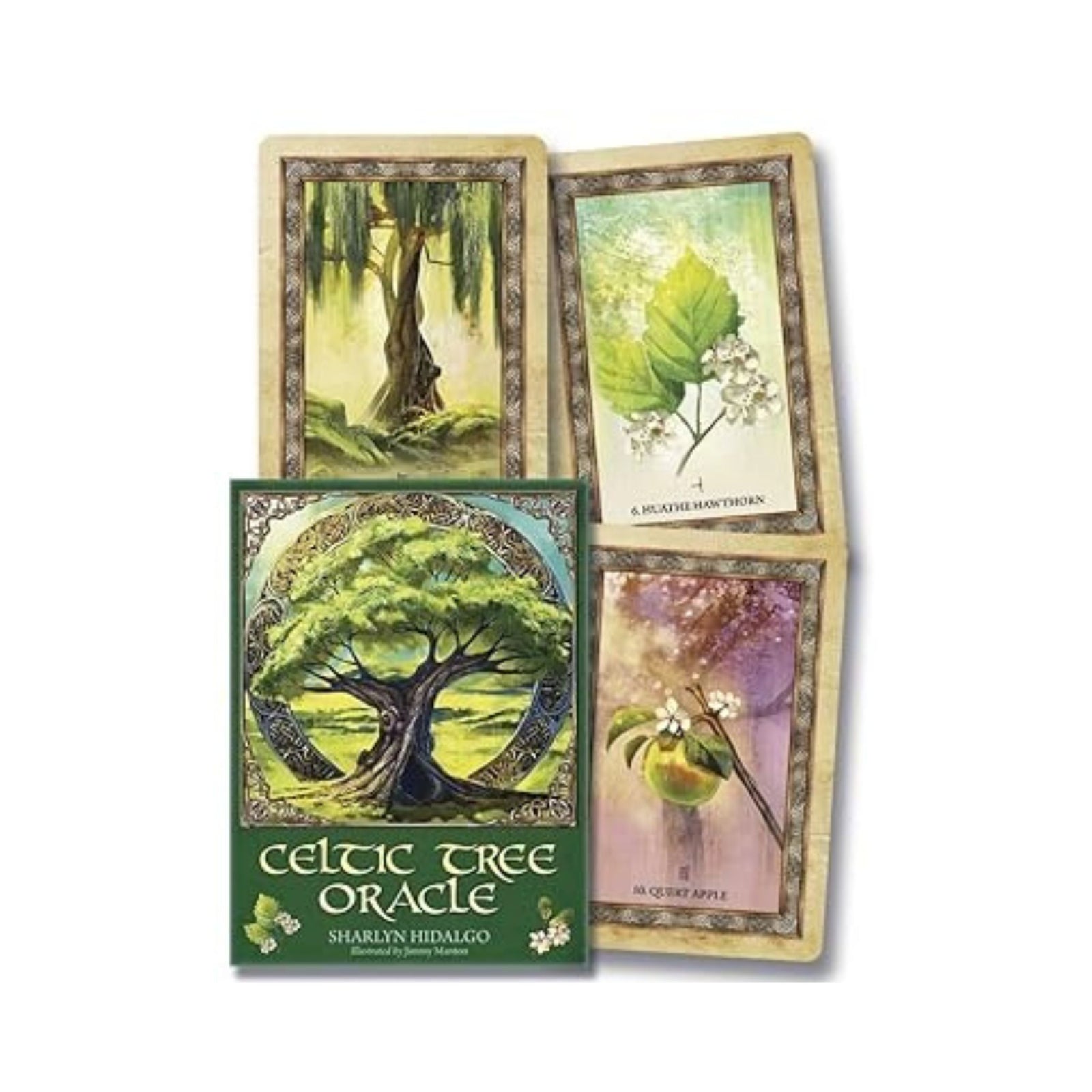 Celtic Tree Oracle by Sharlyn Hidalgo