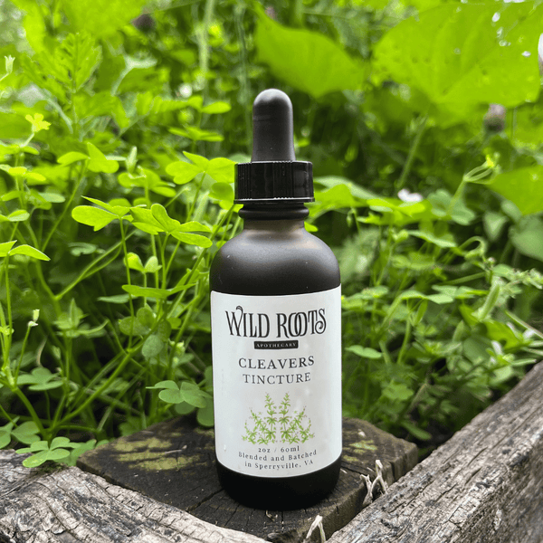 Cleavers Tincture Wild Roots Apothecary