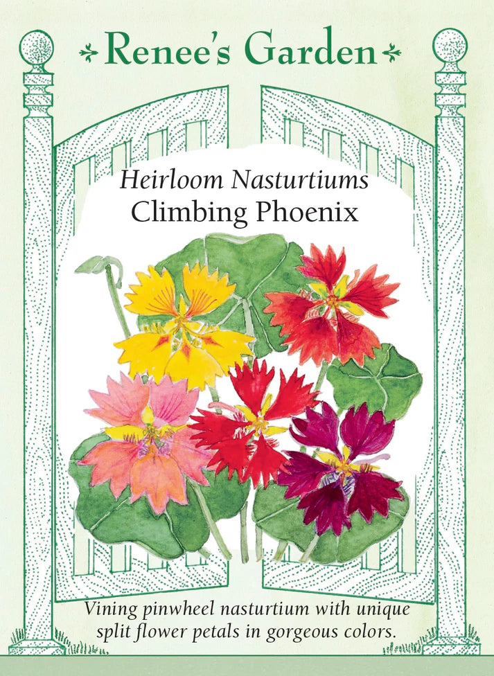 Climbing Phoenix Nasturtium