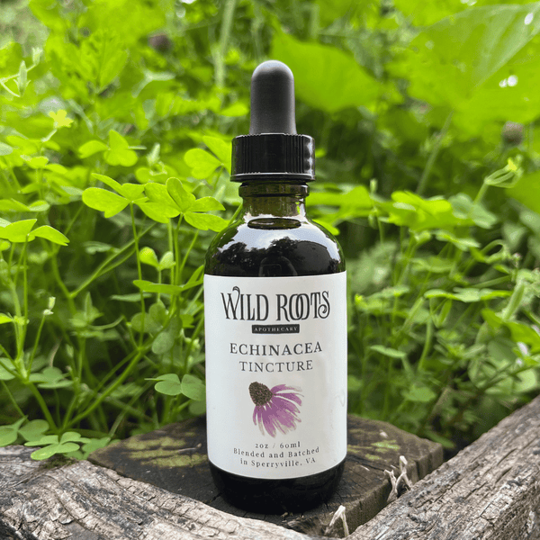 Echinacea Tincture Wild Roots Apothecary